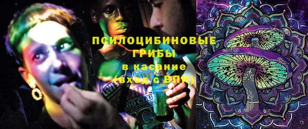 mix Белокуриха