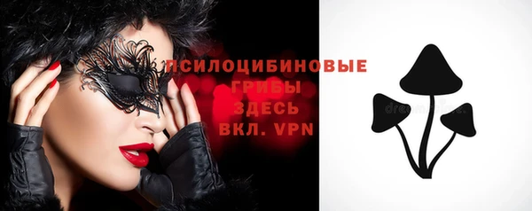 молекула духа Покровск