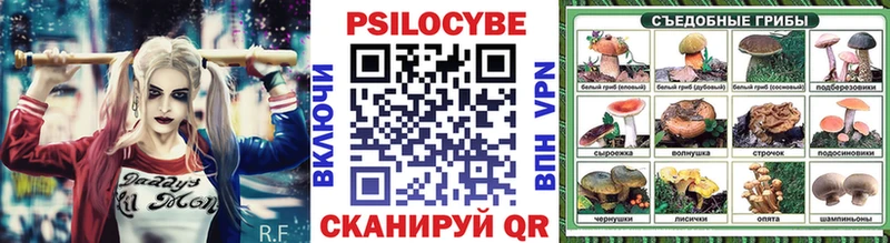 Псилоцибиновые грибы GOLDEN TEACHER  Суздаль 